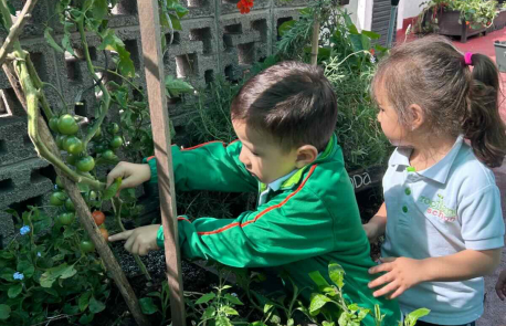 Huerto Escolar en Rootland School: Sembrando Conocimiento, Comunidad y Bienestar